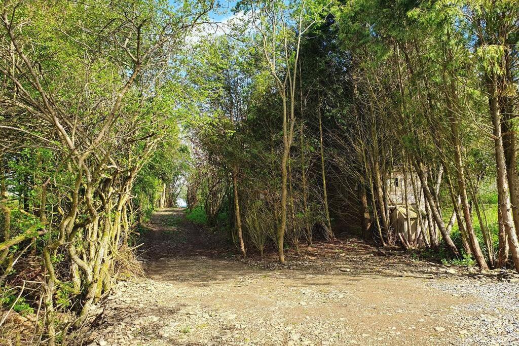 וויברין Le Chalet Des Oisai מראה חיצוני תמונה